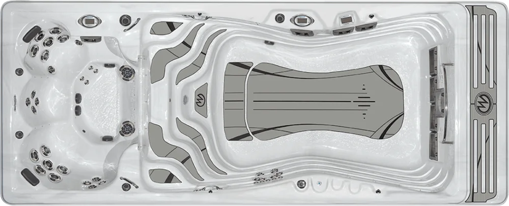 MP Momentum D top view